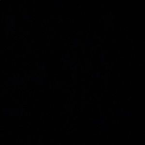 Meet your Posher, Vilma